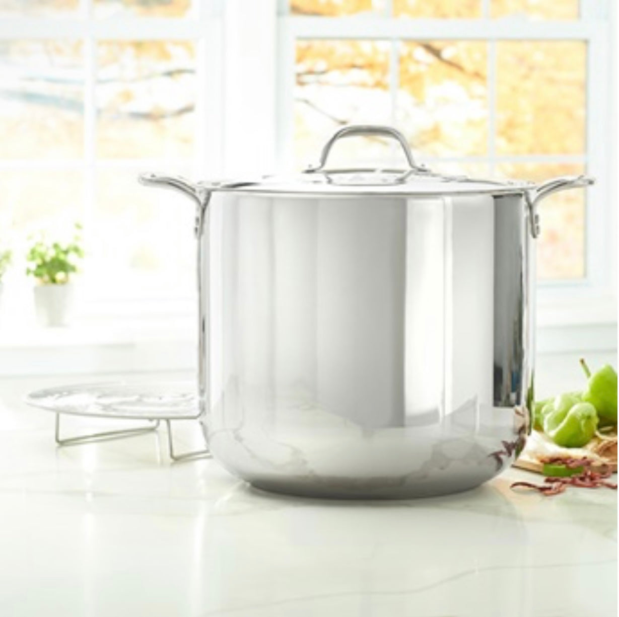 Classic 40-Qt. Stockpot with Steaming Rack